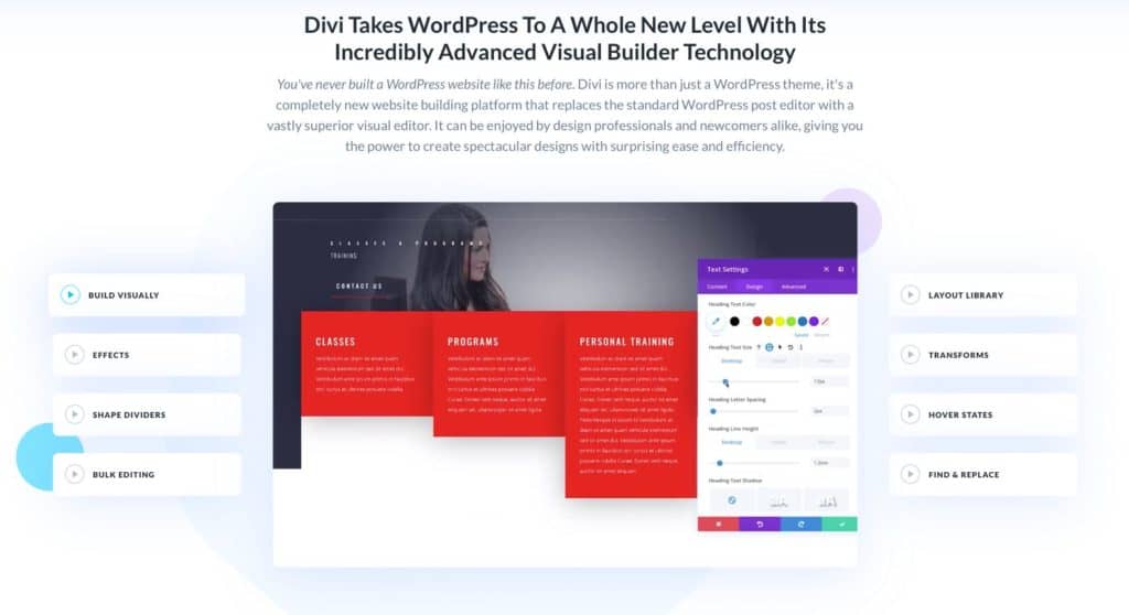 Divi Premium Theme für deinen eigenen WordPress Blog